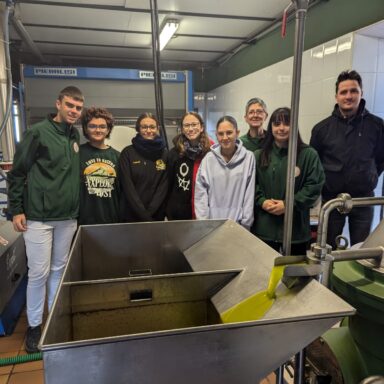 Visita Campaña - IES Hermanos Amorós